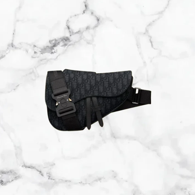 sacoche dior